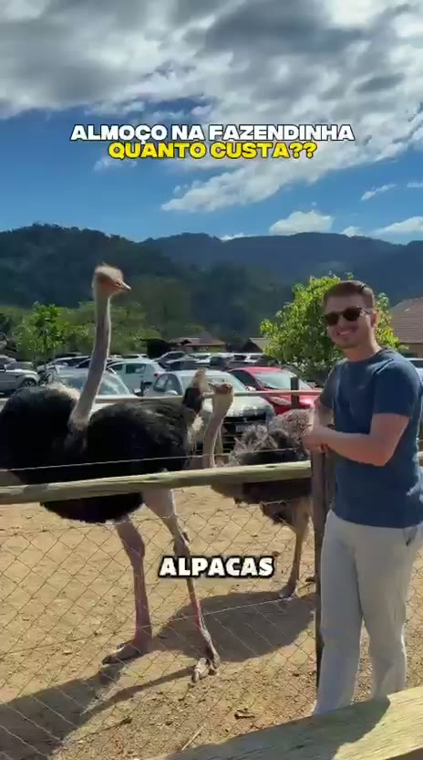 Um passeio pelo ranch